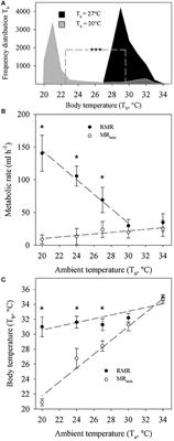 Mitochondrial Proton Leak Compensates for Reduced Oxidative Power during Frequent Hypothermic Events in a Protoendothermic Mammal, Echinops telfairi